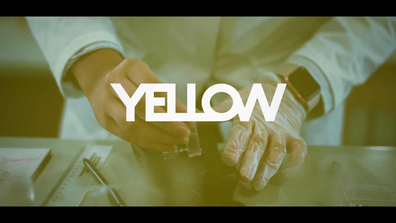 Animation / Motion Graphics